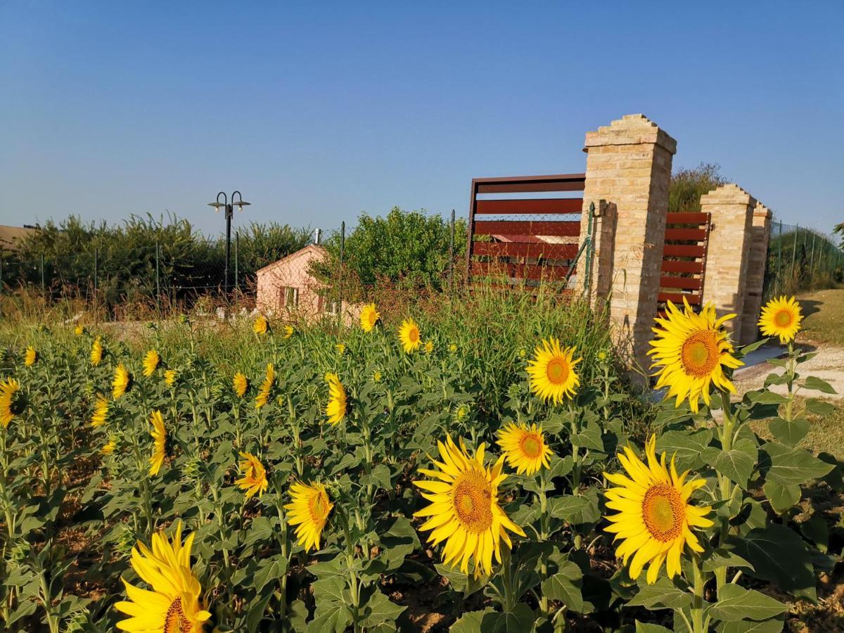 B&B Ceresa - Country House Loreto Bagian luar foto