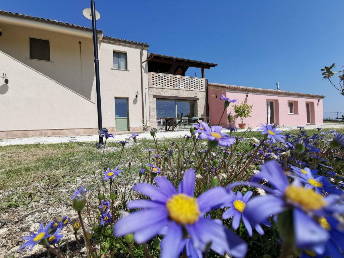 B&B Ceresa - Country House Loreto Bagian luar foto